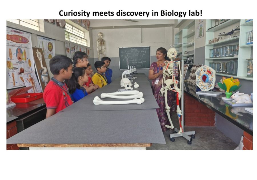 Biology Lab
